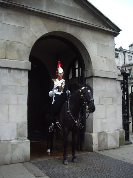 Horseguard