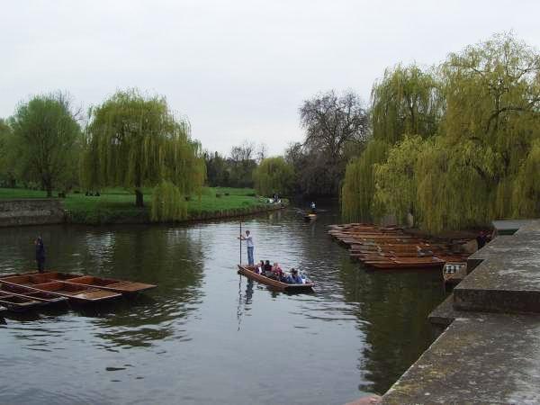 Cambridge Venece