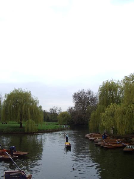 Cambridge punting