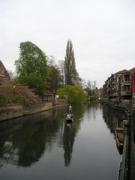 Punting party