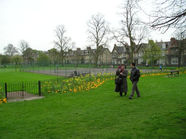 Cambridge grass
