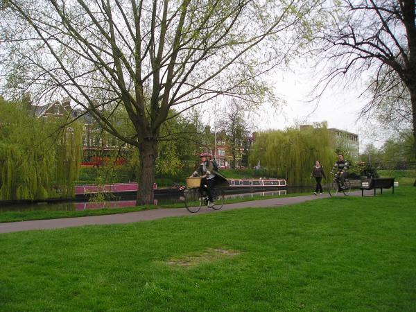 Cambridge grass