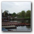 Cambridge punting