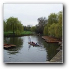 Cambridge Venece