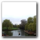 Cambridge punting