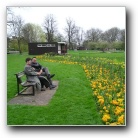 Flowers of Cambridge
