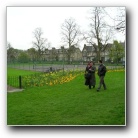 Cambridge grass