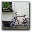 Cambridge bike